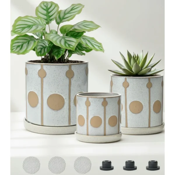 Indoor Flower Pot Set for Succulents Herbs Cacti